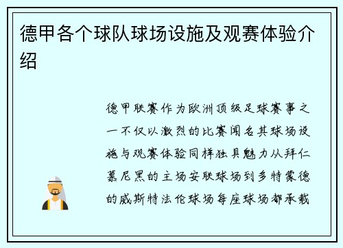 德甲各个球队球场设施及观赛体验介绍
